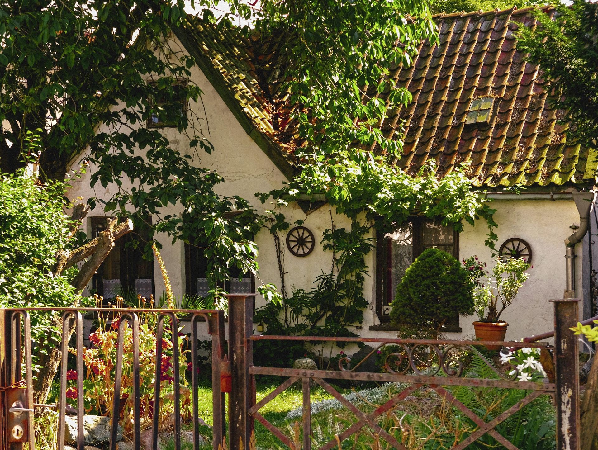 A quaint cottage surrounded by a lush garden in Rostock, Germany.